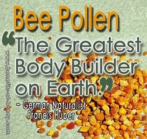 bee pollen is the greatest body builder